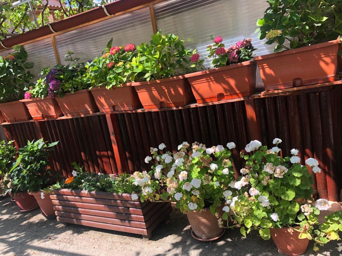 Natasha'S Home 페라마 외부 사진