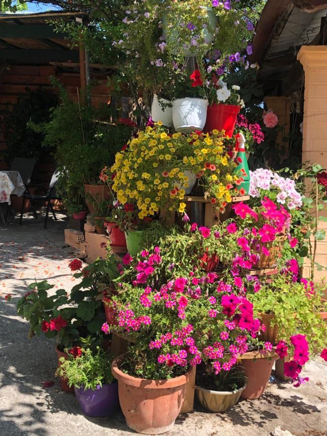 Natasha'S Home 페라마 외부 사진